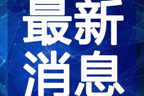 重庆燕子爆料视频最新版,事件真相与幕后黑幕