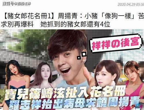 团宠吃瓜娱乐圈小说,团宠小仙女与娱乐圈的甜蜜瓜田